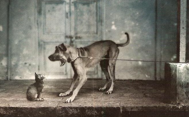 Ignorance Isn’t Bliss