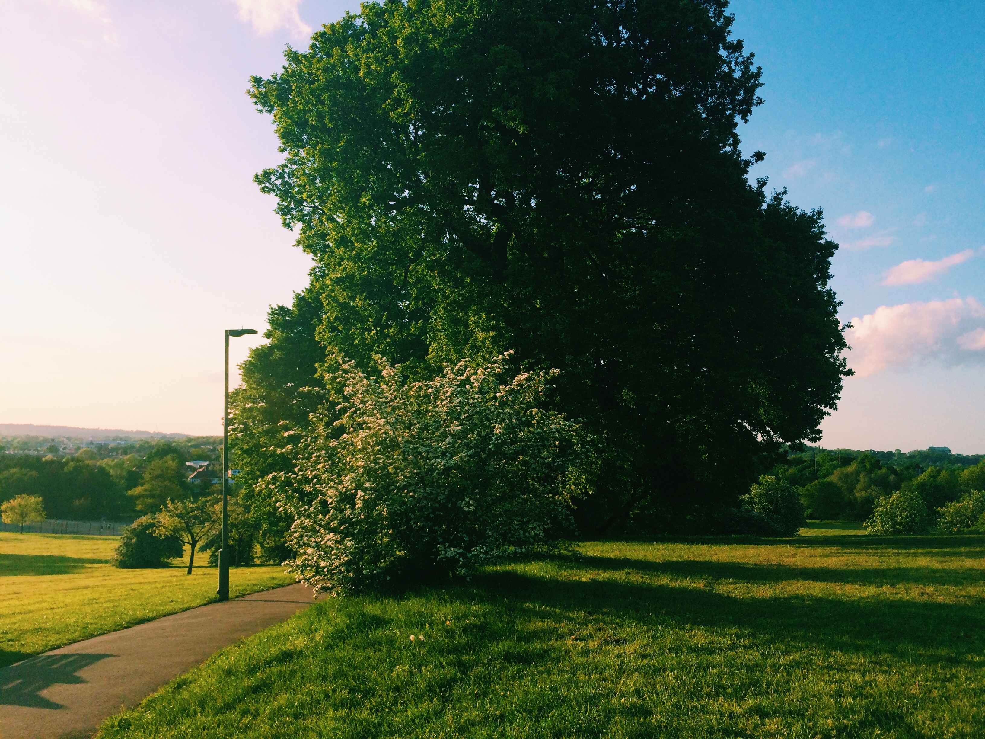 Processed with VSCO with c1 preset