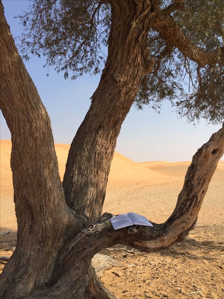 How to Build an Impressive Akhira&nbsp;CV